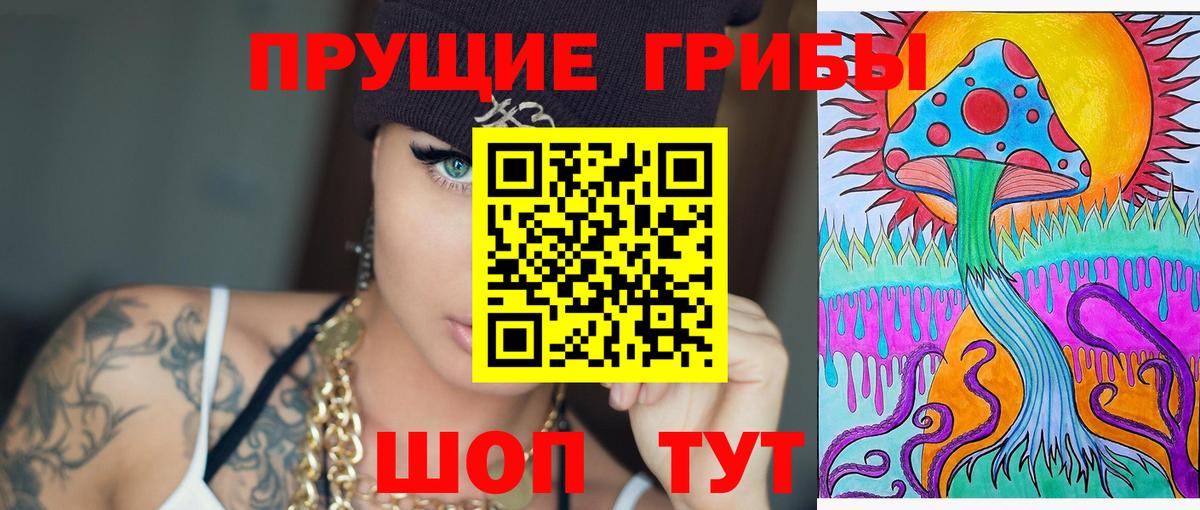 Псилоцибиновые грибы MAGIC MUSHROOMS  Псилоцибиновые грибы ЛСД  Вход с VPN  Нарткала 