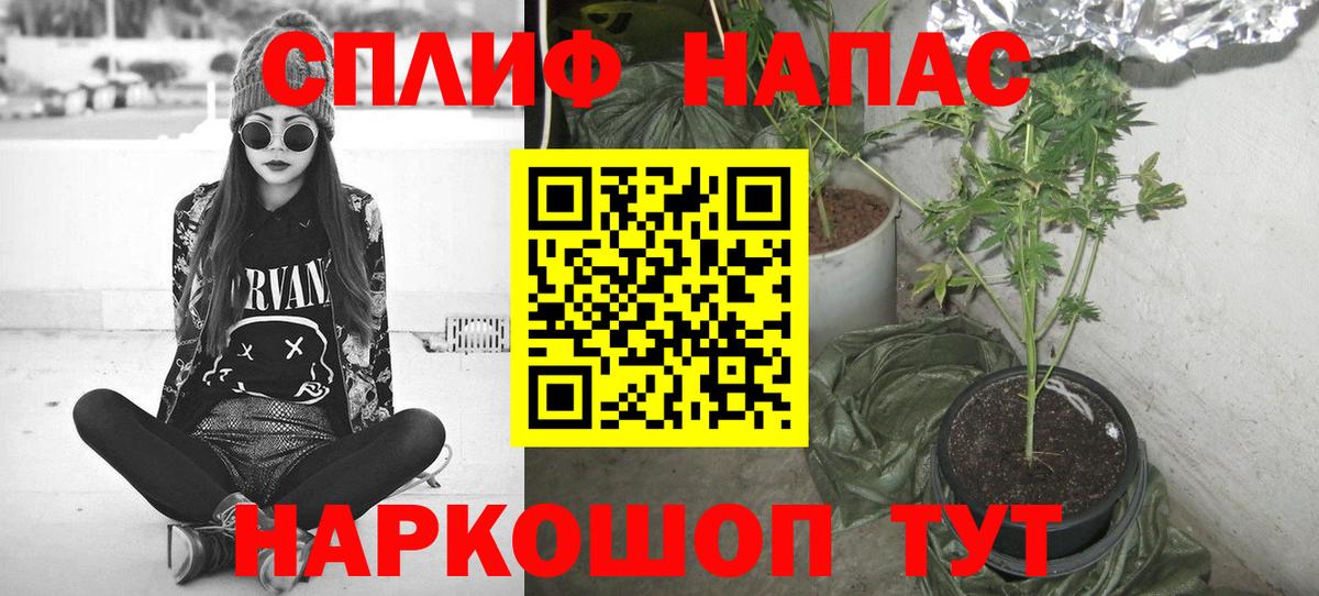 Шишки марихуана THC 21%  МАРИХУАНА индика  Нарткала  Вход с VPN 